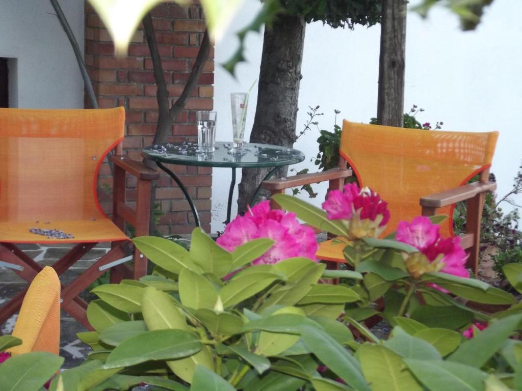 Vera'S Traditional House ซาโกรา ภายนอก รูปภาพ